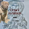 esk ampion Ami z Mladho
