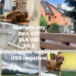 Brno vy�et�en�