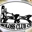 Bonitace Moloss Clubu 2021