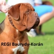 REGI Baurydy-Korn 4 a pl roku