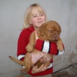 na dvo�e
