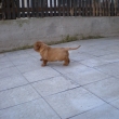 na dvo�e