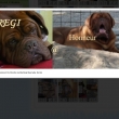 Rodi�e �t���tek : otec: FERDINAND @ matka: Regi Baurydy-Kor�n