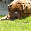 Tobby Baurydy-Kor�n 15 a p�l m�s�ce