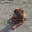 TESORO Baurydy-Kor�n 2 roky
