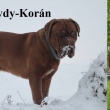TEOO Baurydy-Kor�n