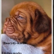 Vrh: U 3 t�dny Baurydy-Kor�n