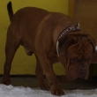 Zbojn�k Baurydy-Kor�n 4 roky