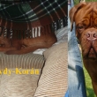 TEDDY Baurydy-Kor�n