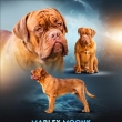 Marley Moonk Baurydy-Korn