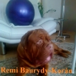 Remi Baurydy-Kor�n