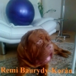 Remi Baurydy-Korn