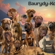 BX Baurydy-Kor�n