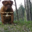 Tobby Baurydy-Kor�n 14 a p�l m�s�ce