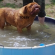 TOBBY Baurydy-Kor�n 2 a p�l roku