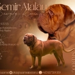 Semir Atalay Baurydy-Kor�n
