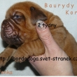 Baurydy-Kor�n vrh:T 2 t�dny