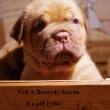 Vrh:A Baurydy Kor�n 4 a p�l t�dne
