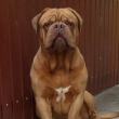 ZBOJN�K Baurydy-Kor�n 3,5 roku