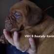 Vrh:B 4 t�dny