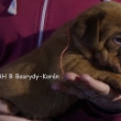 Vrh:B 4 t�dny