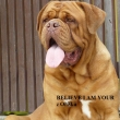 BELIEVE I AM YOUR z O���k�