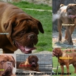 Heimer�s Honneur Du Monde