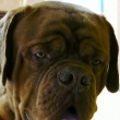 FERDINAND 2 roky 3 msce