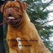 Toobby Baurydy-Kor�n 14,5 m�s�ce