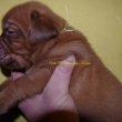 Vrh:B 3 t�dny