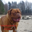 Toobby Baurydy-Kor�n 2 roky 2 m�s�ce