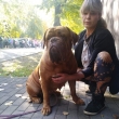 Baurydy-Kor�n