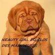 NEAUTY GIRL DU CLOS DES MALICIEUSES