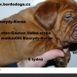 5 t�dn�