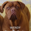 WENDY Baurydy-Kor�n