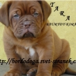 Baurydy-Kor�n vrh:T 6 t�dn�