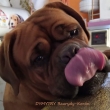 DYMYTRY Baurydy-Kor�n