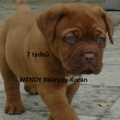 WENDY Baurydy-Kor�n 7 t�dn�