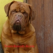 Tesoro Baurydy-Kor�n