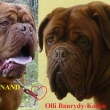 Rodi�e: FERDINAND @ OLLI Baurydy-Kor�n
