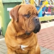 JEGR MATY Baurydy-Kor�n 1 rok