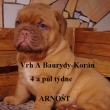 Vrh:A Baurydy Korn 4 a pl tdne