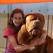 Romeo Baurydy-Kor�n
