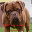 Toobby Baurydy-Kor�n 21 m�s�c�