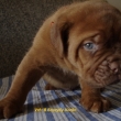 Vrh:B 5 t�dn�