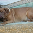 Jenny na dvo�e