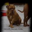 11 m�s�c� Zbojn�k Baurydy-Kor�n