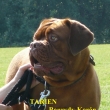 Tarien Baurydy-Kor�n