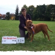 Penn Baurydy-Kor�n