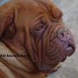REGI Baurydy-Kor�n 4 a p�l roku